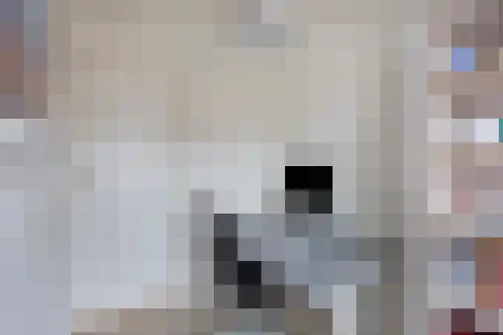 Snaarmanslaan 149 Alkmaar thumbnail 20
