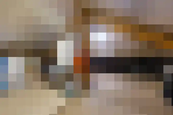 Snaarmanslaan 149 Alkmaar thumbnail 23