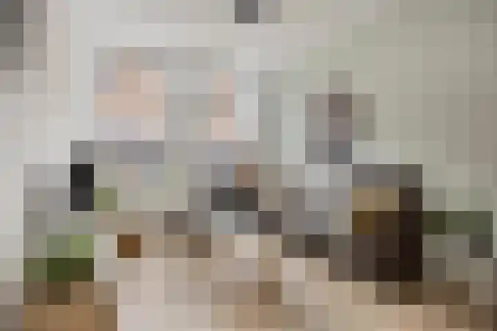 Snaarmanslaan 149 Alkmaar thumbnail 6