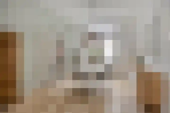 Snaarmanslaan 149 Alkmaar thumbnail 9