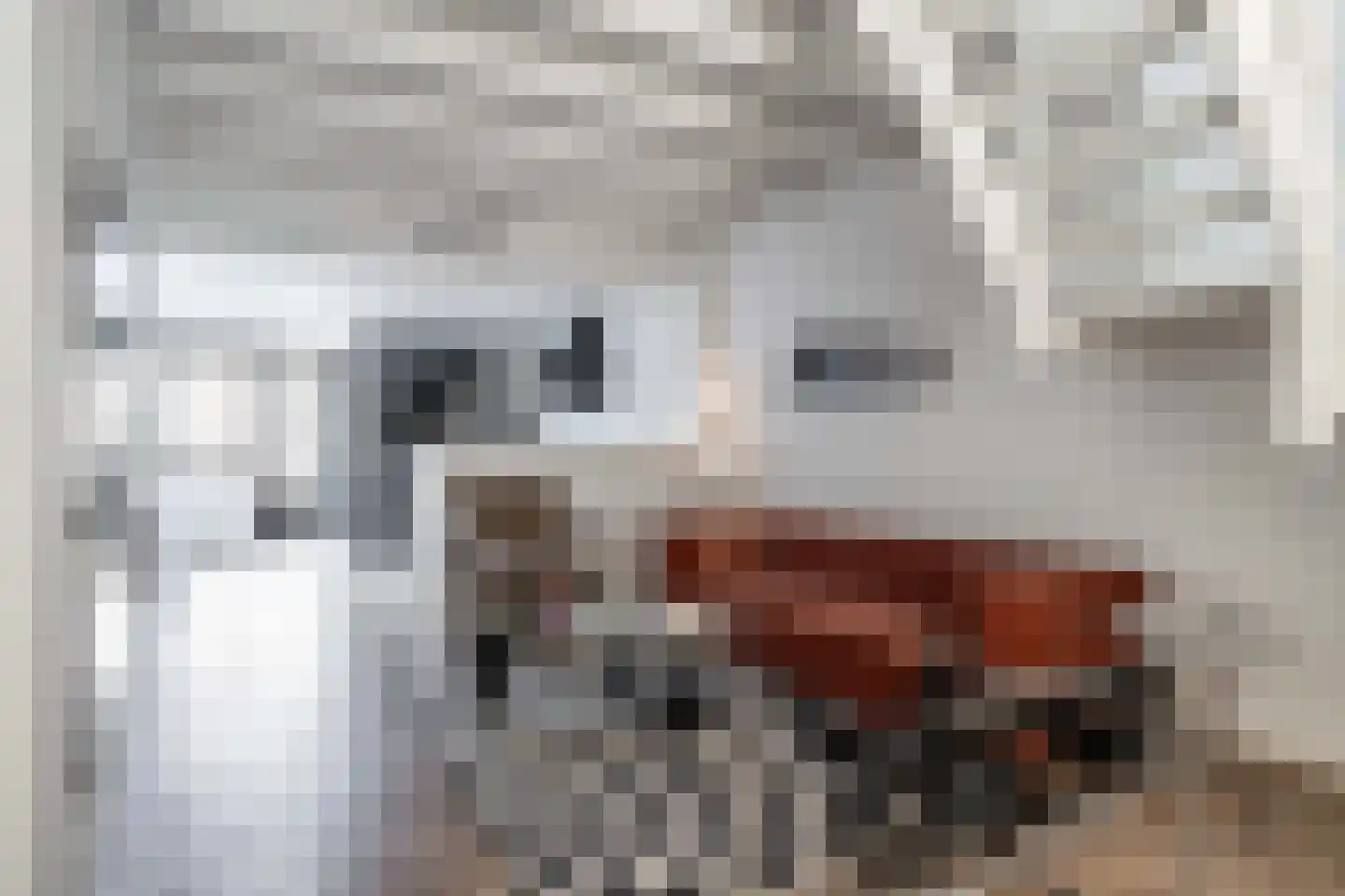 Snaarmanslaan 33 Alkmaar thumbnail 15