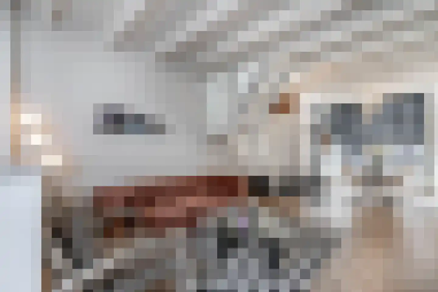 Snaarmanslaan 33 Alkmaar thumbnail 17