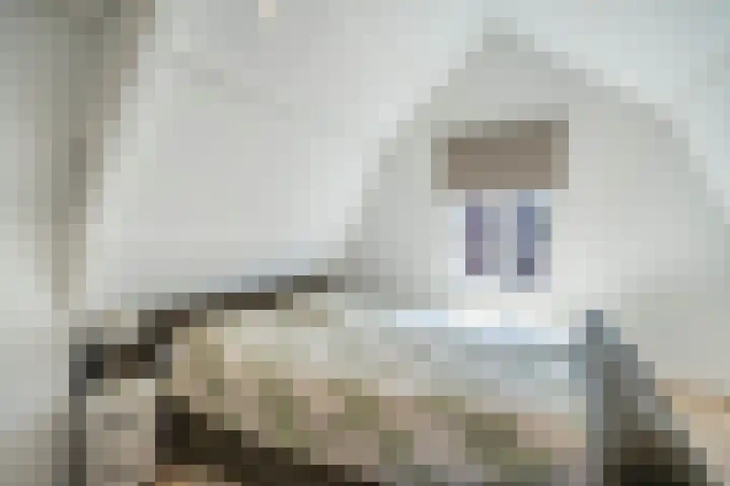 Snaarmanslaan 33 Alkmaar thumbnail 30