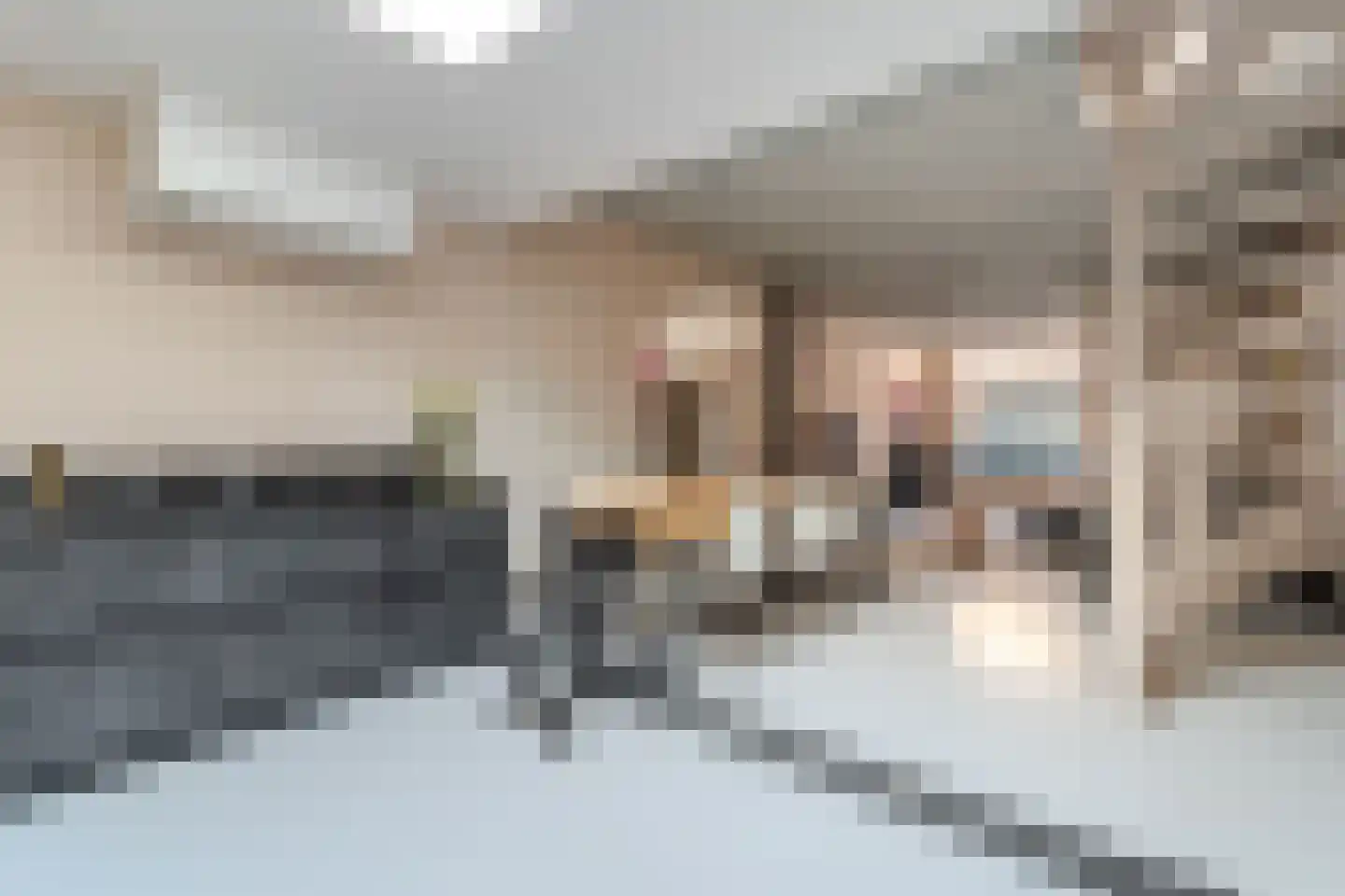 Snaarmanslaan 34 Alkmaar thumbnail 12
