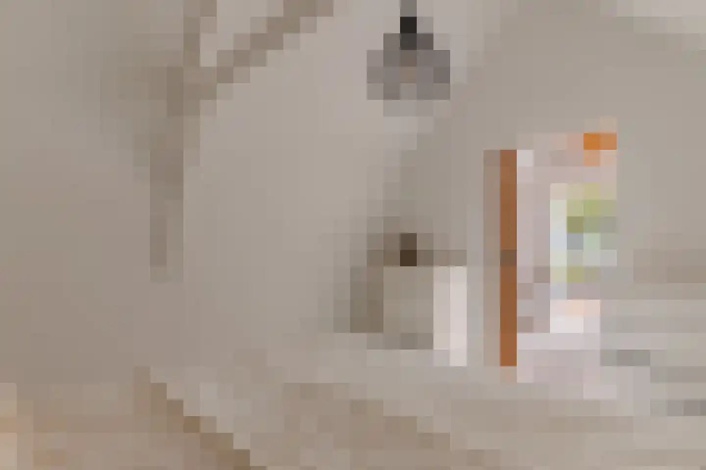Snaarmanslaan 34 Alkmaar thumbnail 25