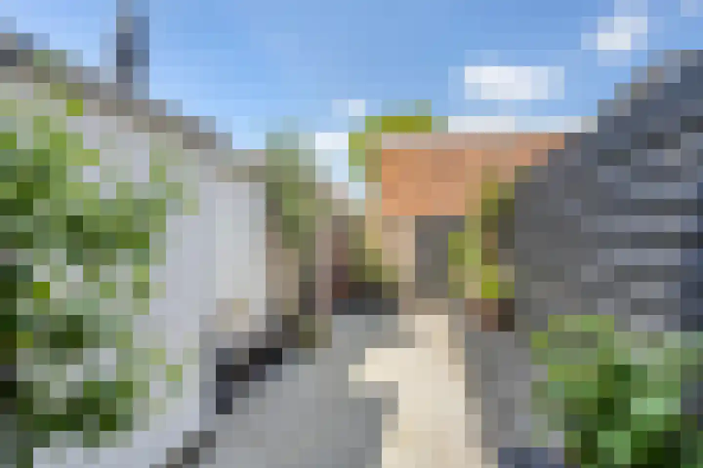 Snaarmanslaan 49 Alkmaar thumbnail 20