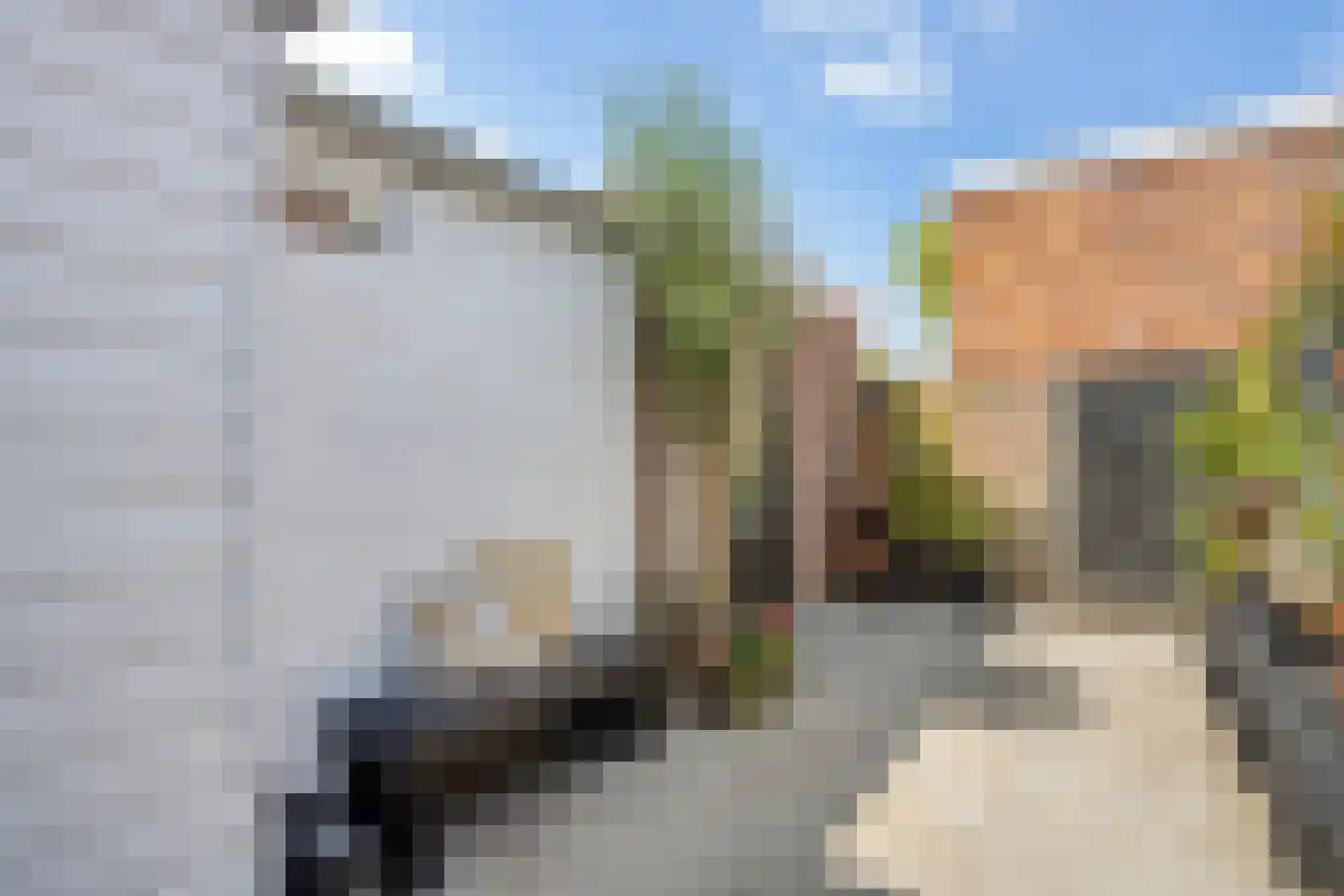 Snaarmanslaan 49 Alkmaar thumbnail 22