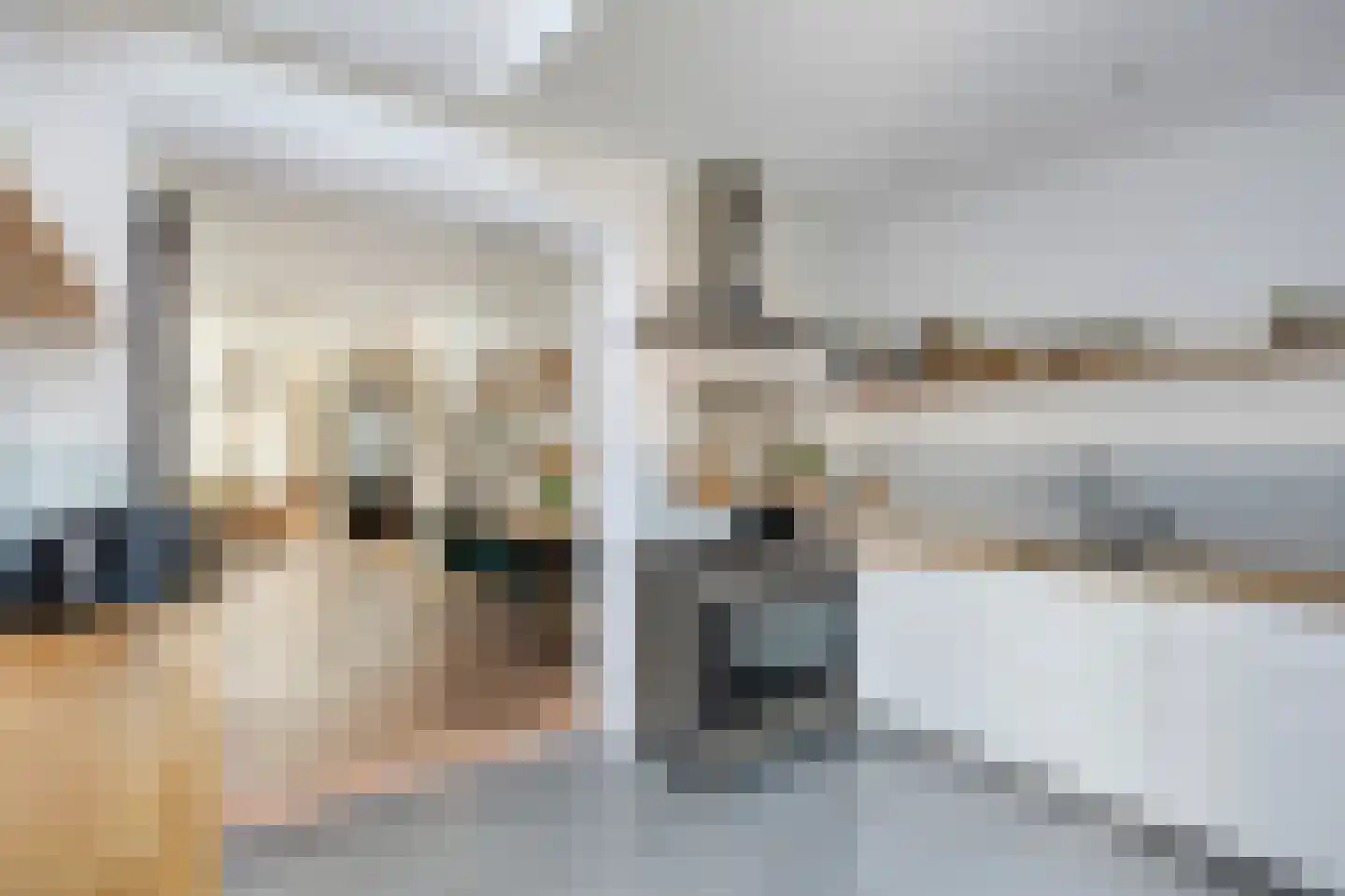 Snaarmanslaan 49 Alkmaar thumbnail 24