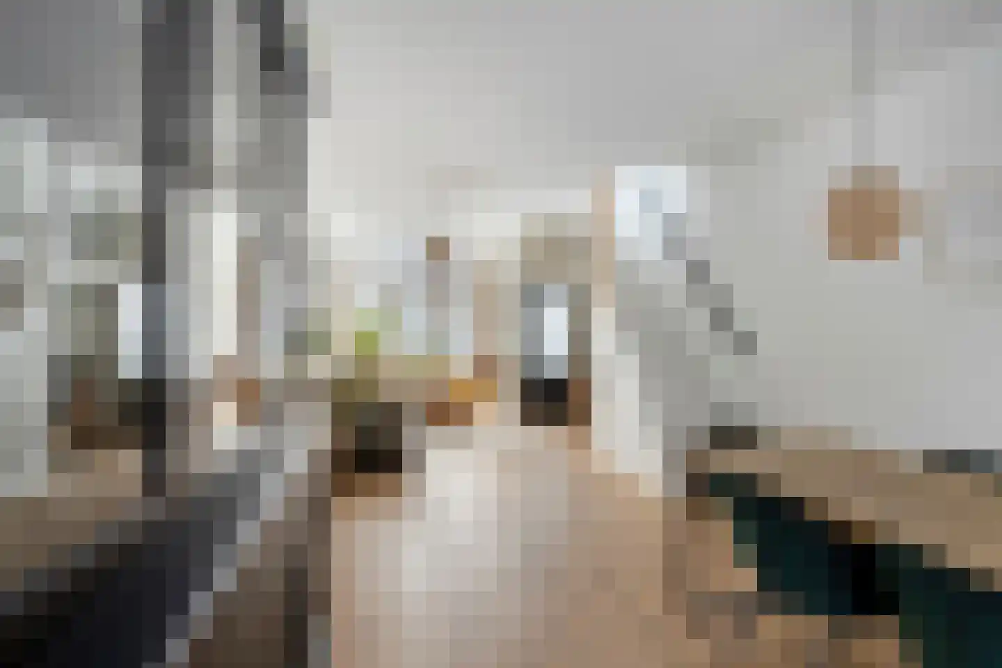 Snaarmanslaan 49 Alkmaar thumbnail 25