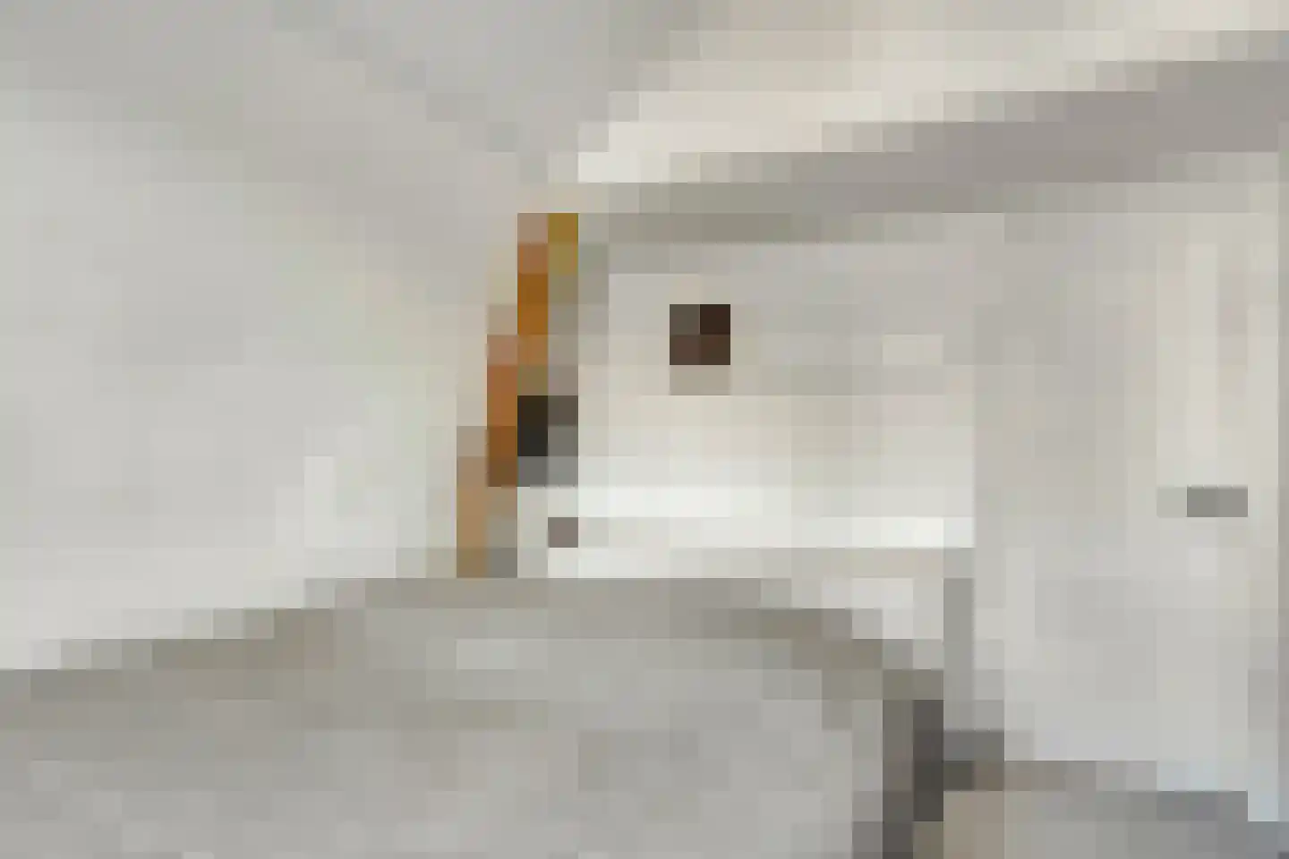 Snaarmanslaan 49 Alkmaar thumbnail 32