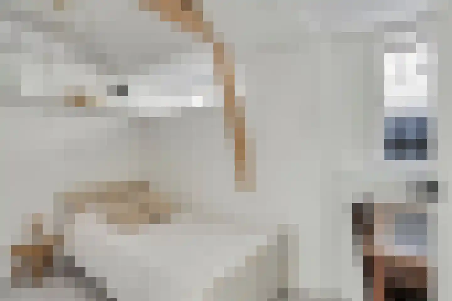 Snaarmanslaan 49 Alkmaar thumbnail 33