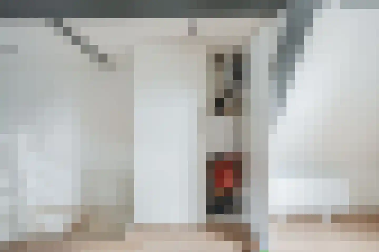 Snaarmanslaan 56 Alkmaar thumbnail 47