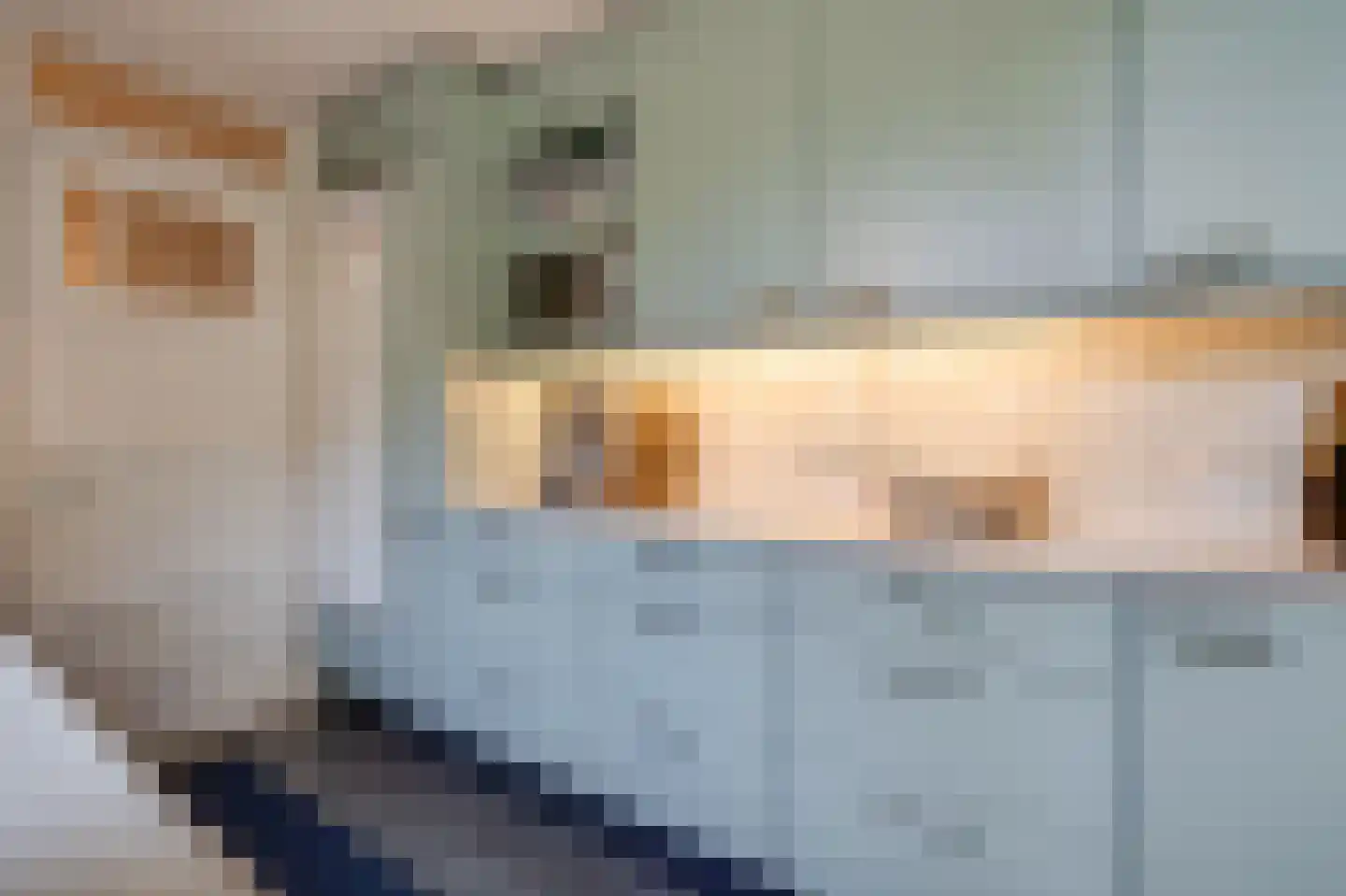 Snaarmanslaan 63 Alkmaar thumbnail 10