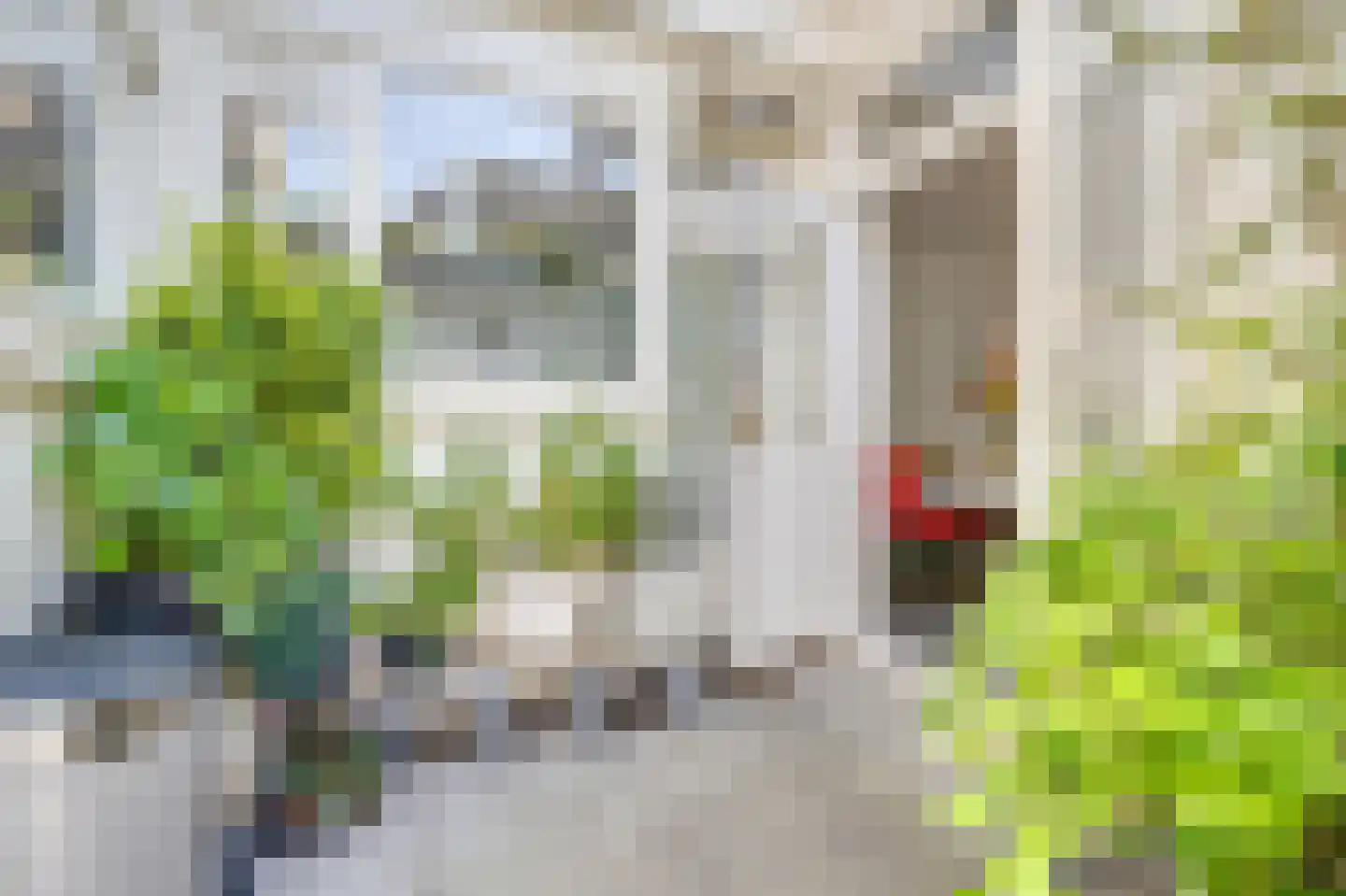 Snaarmanslaan 63 Alkmaar thumbnail 12