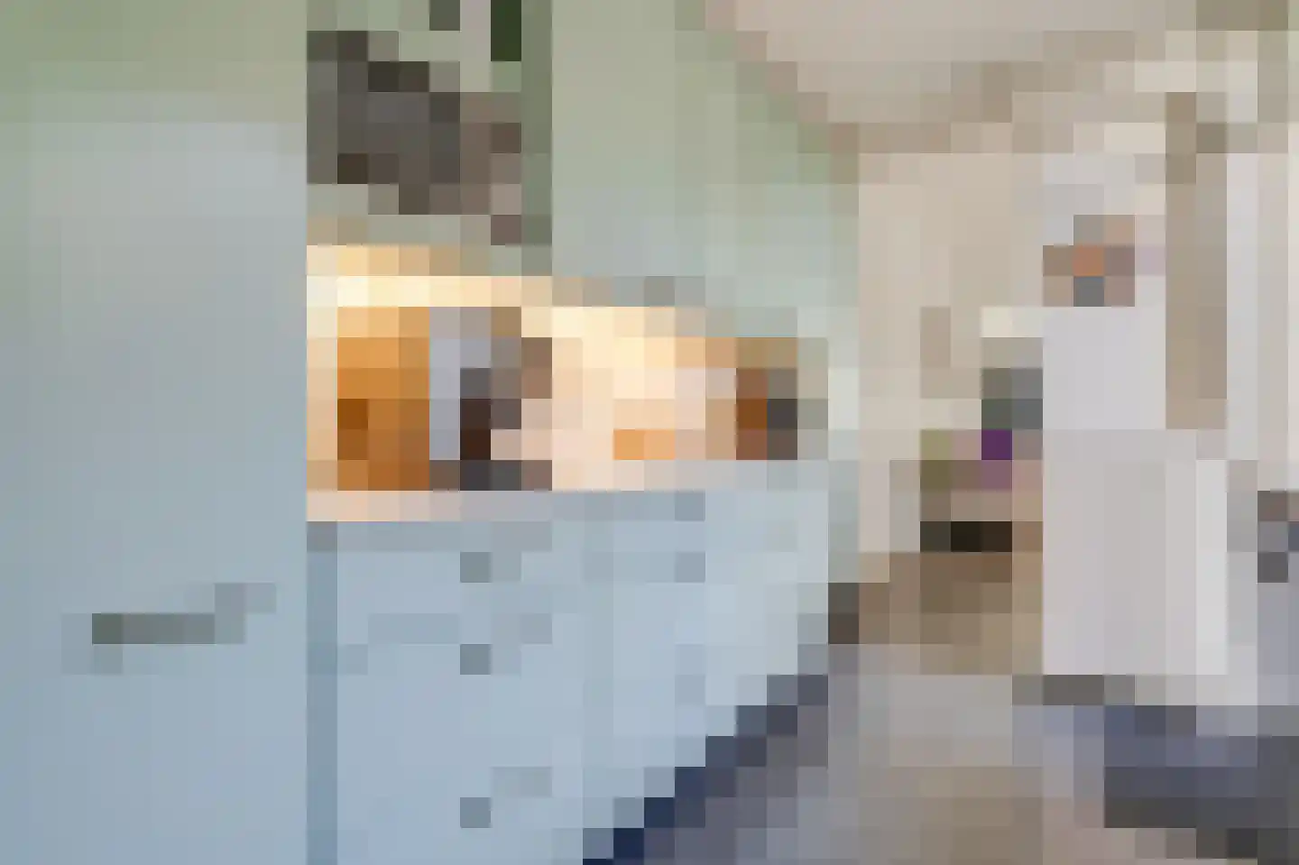 Snaarmanslaan 63 Alkmaar thumbnail 14
