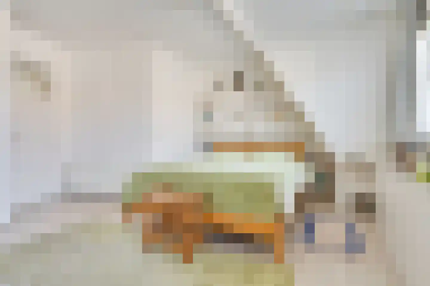 Snaarmanslaan 63 Alkmaar thumbnail 25