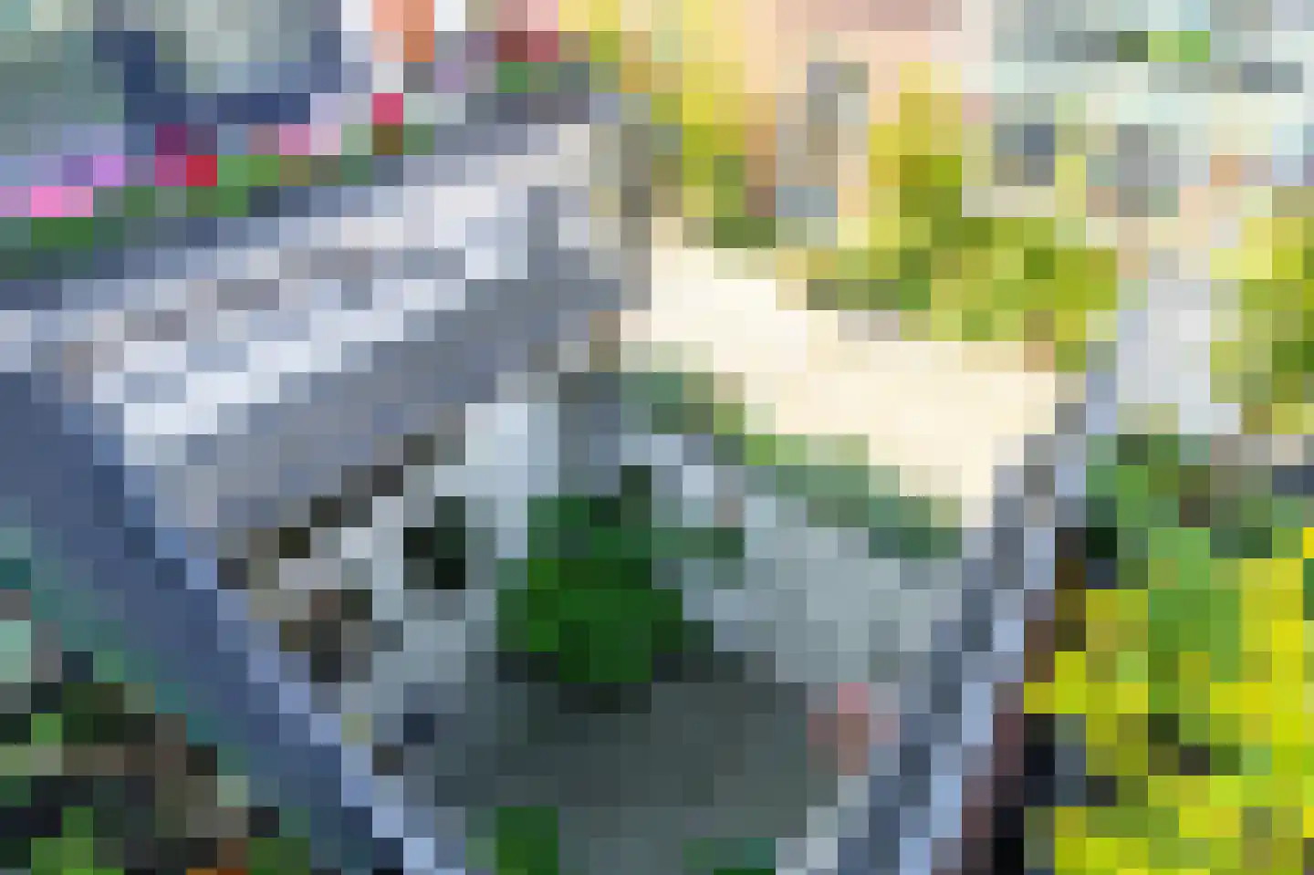 Snaarmanslaan 63 Alkmaar thumbnail 34