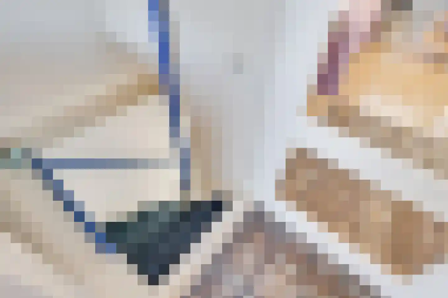 Snaarmanslaan 63 Alkmaar thumbnail 35