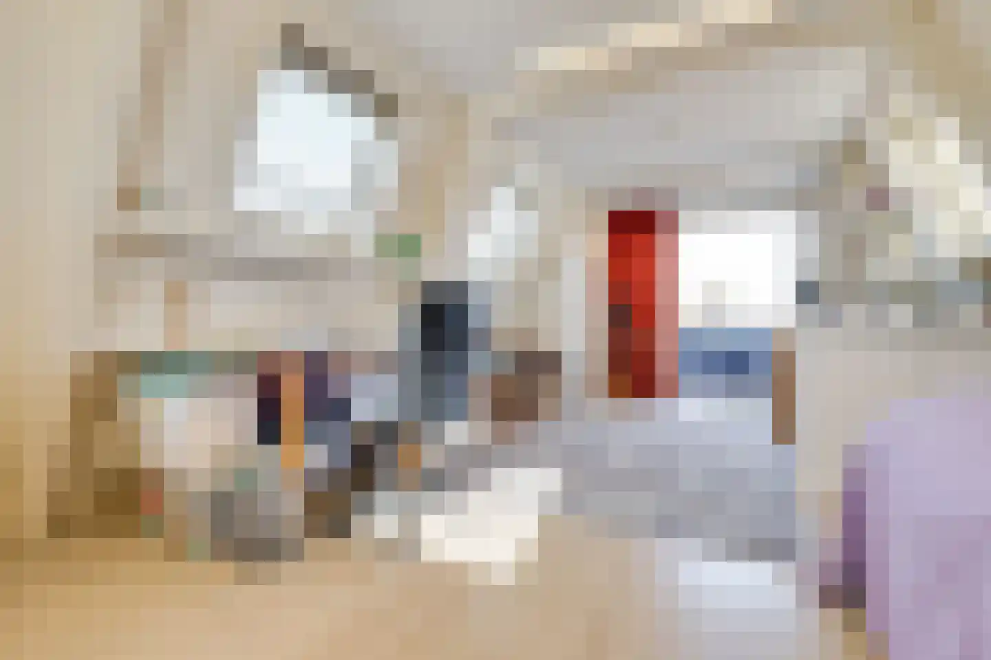 Snaarmanslaan 63 Alkmaar thumbnail 38