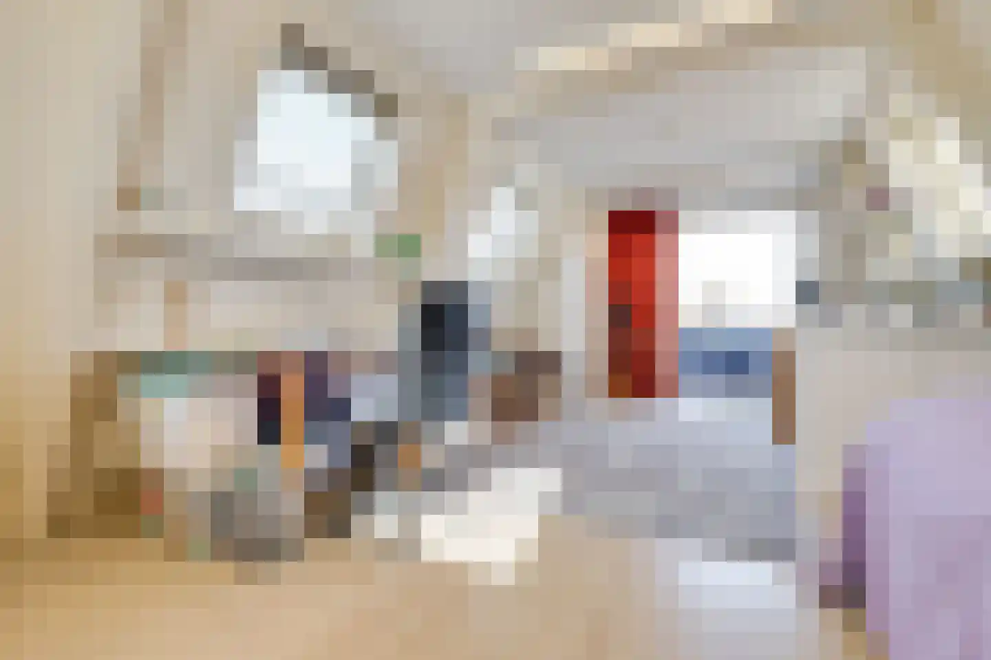 Snaarmanslaan 63 Alkmaar thumbnail 38