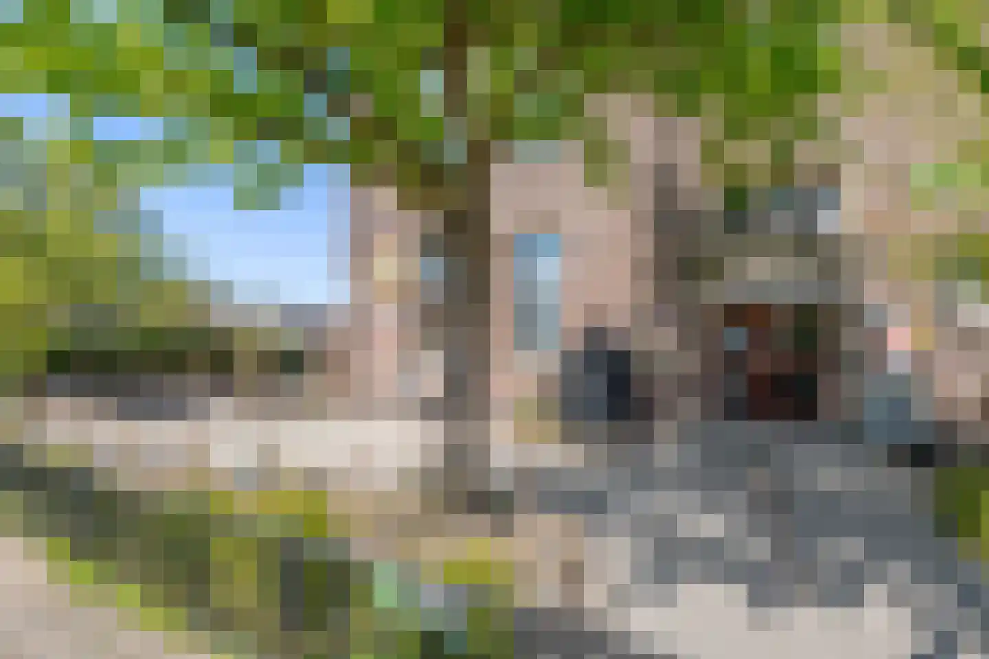 Snaarmanslaan 63 Alkmaar thumbnail 46