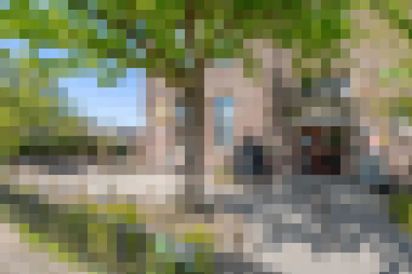 Snaarmanslaan 63 Alkmaar thumbnail 46