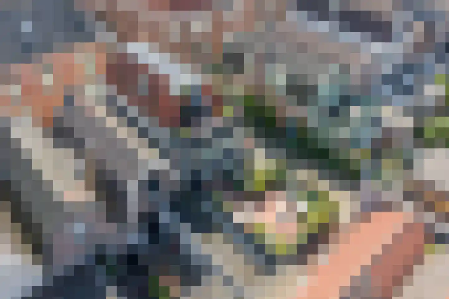 Snaarmanslaan 63 Alkmaar thumbnail 51