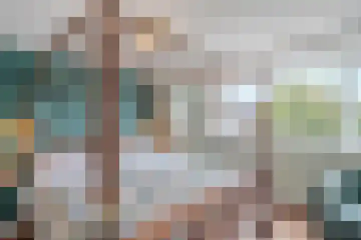 Snaarmanslaan 76 Alkmaar thumbnail 32