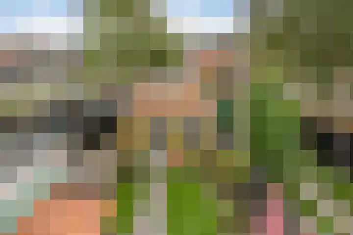Snaarmanslaan 76 Alkmaar thumbnail 37