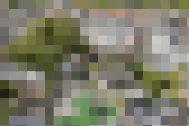 Snaarmanslaan 76 Alkmaar thumbnail 46