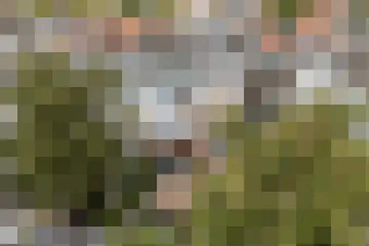 Snaarmanslaan 76 Alkmaar thumbnail 47