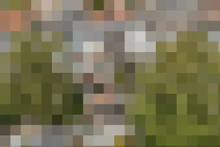 Snaarmanslaan 76 Alkmaar thumbnail 48