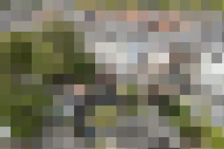 Snaarmanslaan 76 Alkmaar thumbnail 49