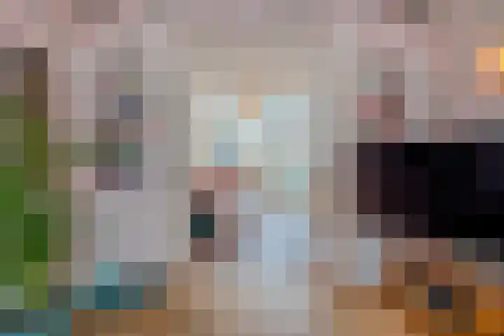 Snaarmanslaan 76 Alkmaar thumbnail 6