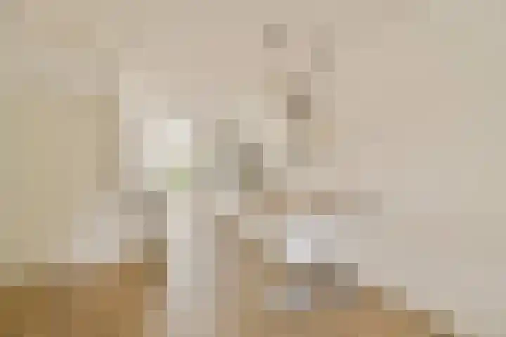 Snaarmanslaan 9 Alkmaar thumbnail 11