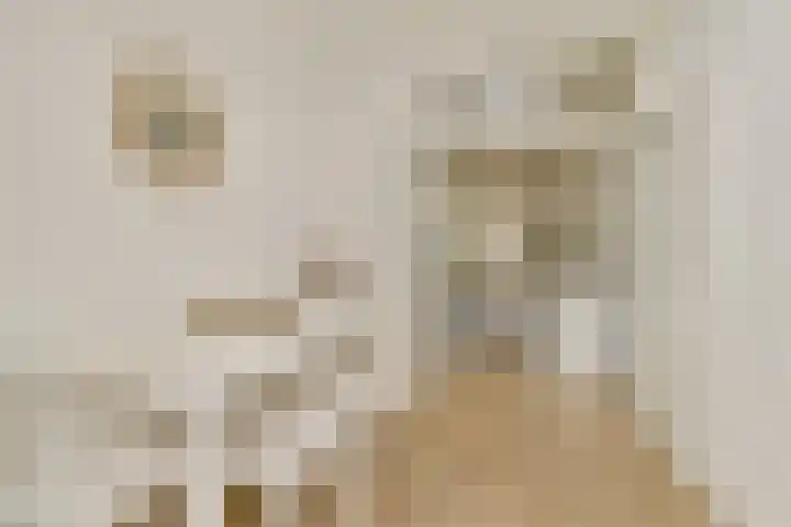 Snaarmanslaan 9 Alkmaar thumbnail 13