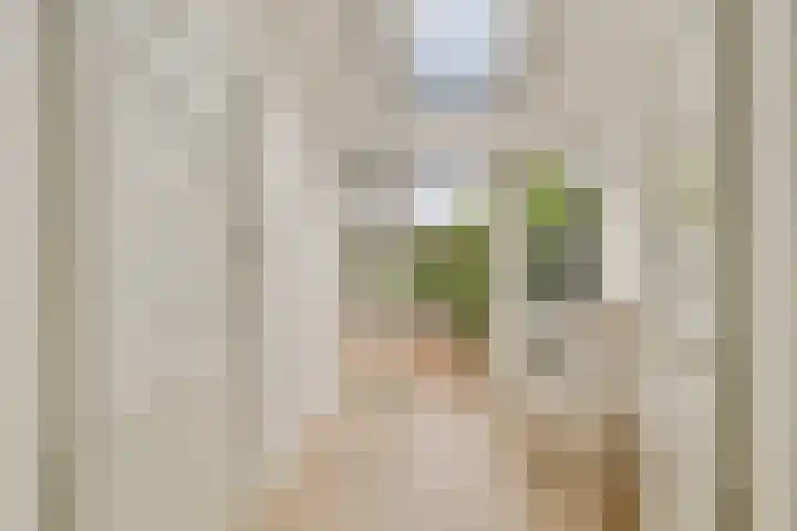 Snaarmanslaan 9 Alkmaar thumbnail 14
