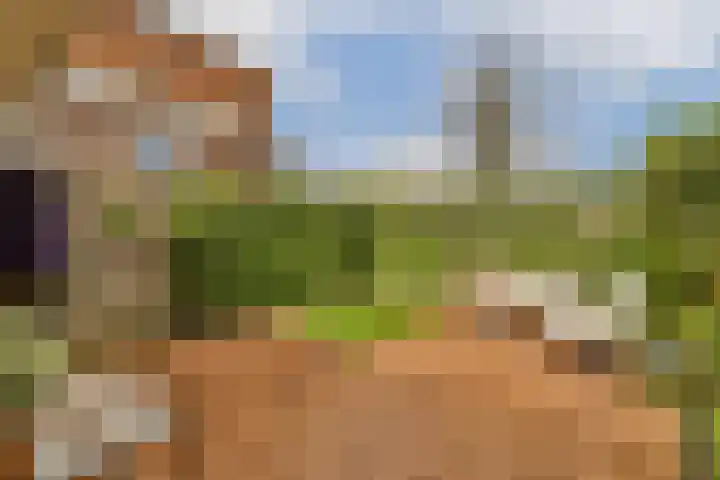 Snaarmanslaan 9 Alkmaar thumbnail 15