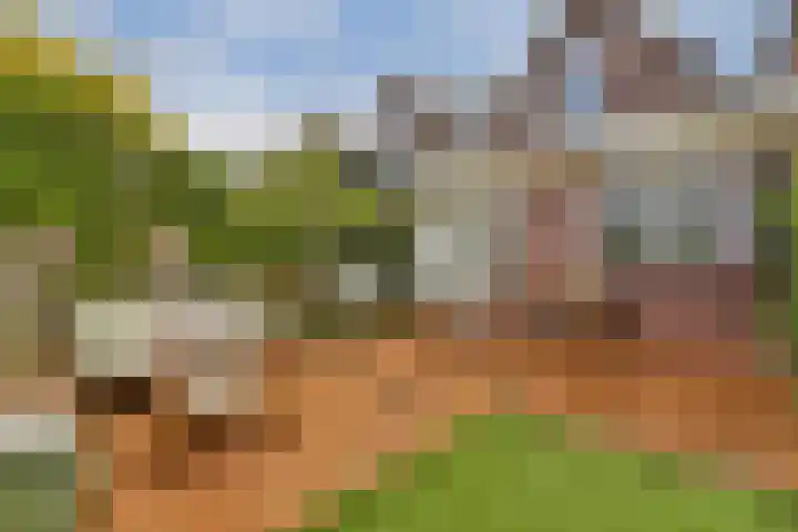 Snaarmanslaan 9 Alkmaar thumbnail 16