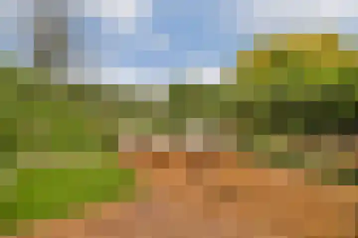 Snaarmanslaan 9 Alkmaar thumbnail 17