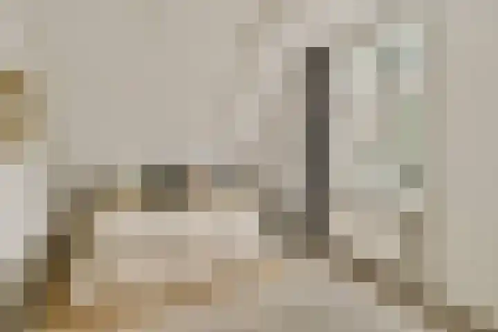 Snaarmanslaan 9 Alkmaar thumbnail 18