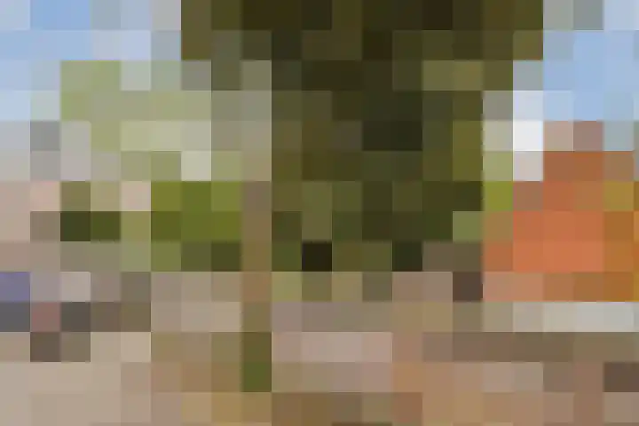 Snaarmanslaan 9 Alkmaar thumbnail 19