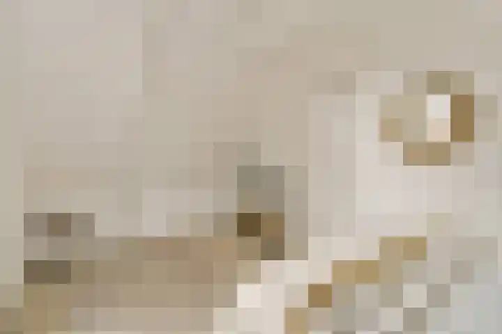 Snaarmanslaan 9 Alkmaar thumbnail 20