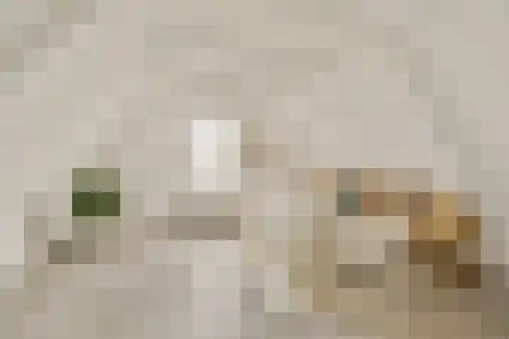 Snaarmanslaan 9 Alkmaar thumbnail 26