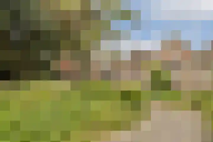 Snaarmanslaan 9 Alkmaar thumbnail 30