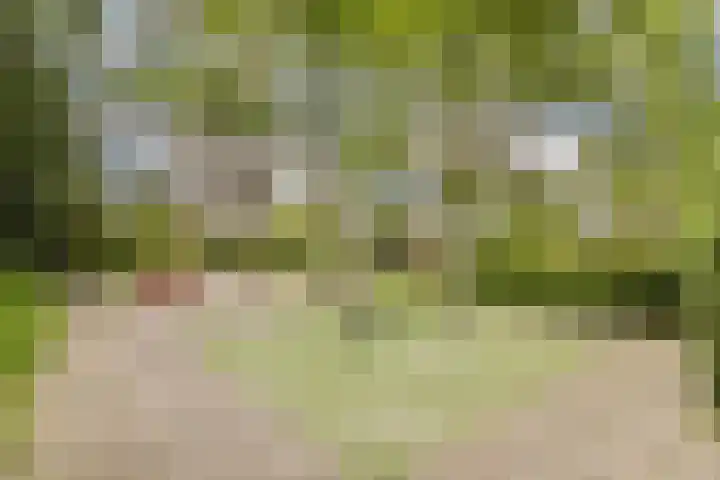 Snaarmanslaan 9 Alkmaar thumbnail 31