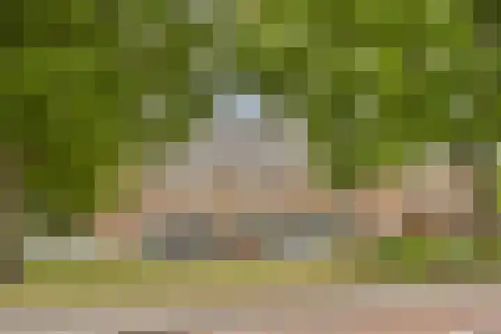 Snaarmanslaan 9 Alkmaar thumbnail 32