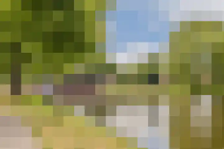 Snaarmanslaan 9 Alkmaar thumbnail 33