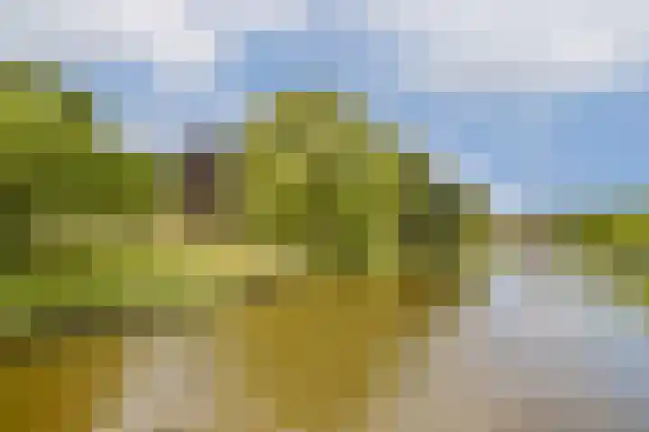 Snaarmanslaan 9 Alkmaar thumbnail 34