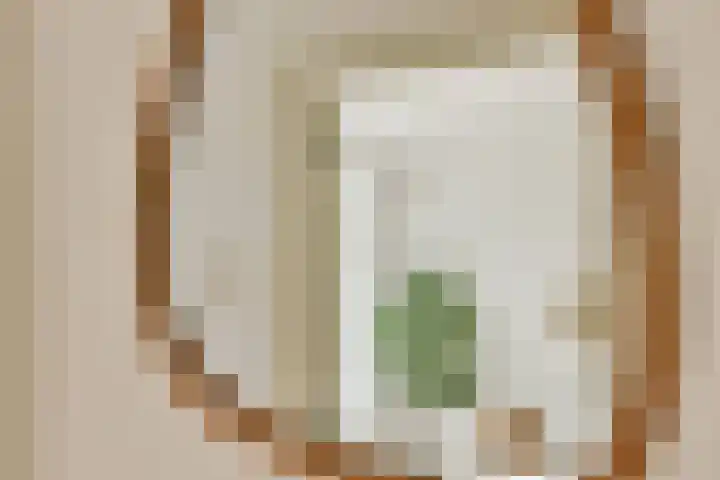 Snaarmanslaan 9 Alkmaar thumbnail 6